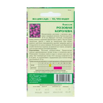 Семена алиссума Розовая Королева Семена для Сибири