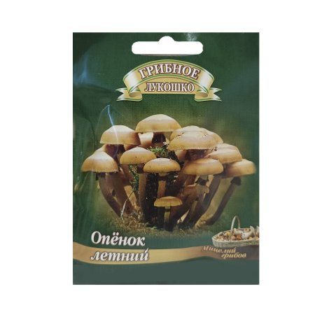 Семена грибов Опенок летний Гавриш