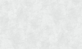 Обои флизелиновые Erismann Nova 60677-03