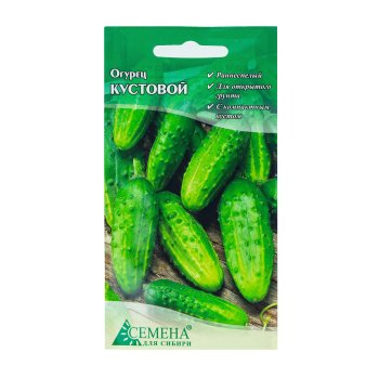 Семена огурца Кустовой Семена для Сибири