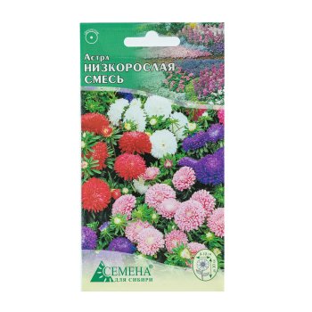 Семена астры Низкорослая смесь Семена для Сибири