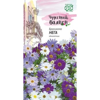 Семена брахикомы Иберисолистная Нега Гавриш