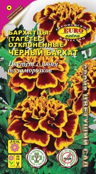 Семена бархатцев Отклон. Черный бархат Аэлита
