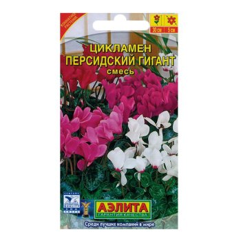 Семена цикламена Персидский Гигант Аэлита