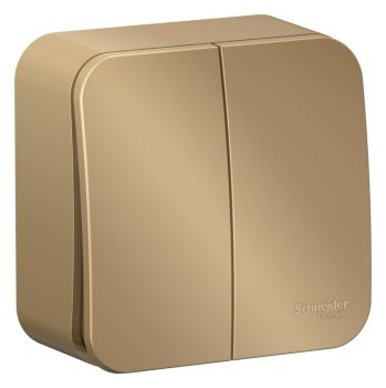 Выключатель накладной Schneider Electric Blanca 2 кл. титан без подсветки