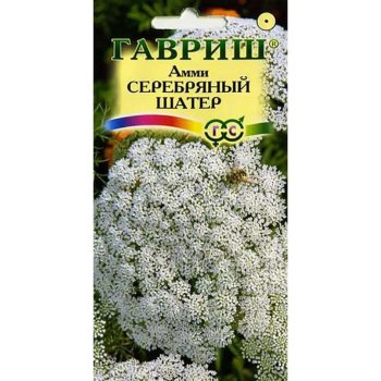 Семена Амми Серебряный шатер Гавриш