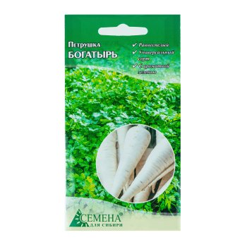 Семена петрушки Богатырь  Семена для Сибири
