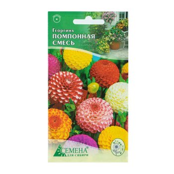 Семена георгина Помпоная смесь Семена для Сибири