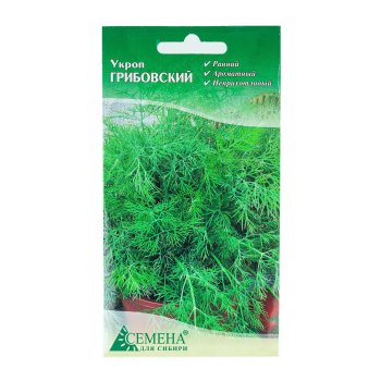 Семена укропа Грибовский  Семена для Сибири