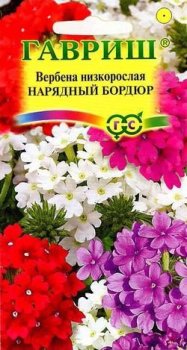 Семена вербены Нарядный бордюр низкая Гавриш