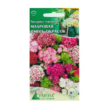 Семена гвоздики Турецкая махровая смесь Семена для Сибири