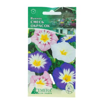 Семена вьюнка Смесь окрасок Семена для Сибири