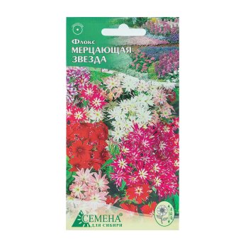 Семена флокса Мерцающая звезда Семена для Сибири