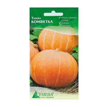 Семена тыквы Конфетка  Семена для Сибири