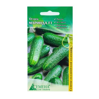 Семена огурца Маринда  Семена для Сибири