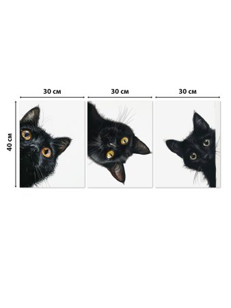 Модульная картина Кот 30х40 см