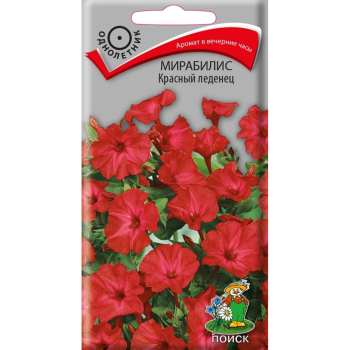 Семена мирабилиса Красный леденец Поиск