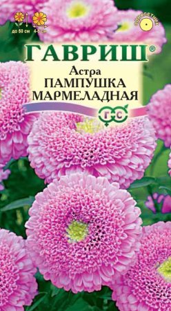 Семена астры Пампушка мармеладная Гавриш