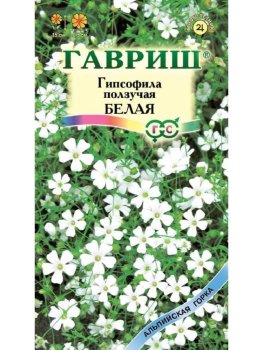 Семена гипсофилы Ползучая белая Гавриш