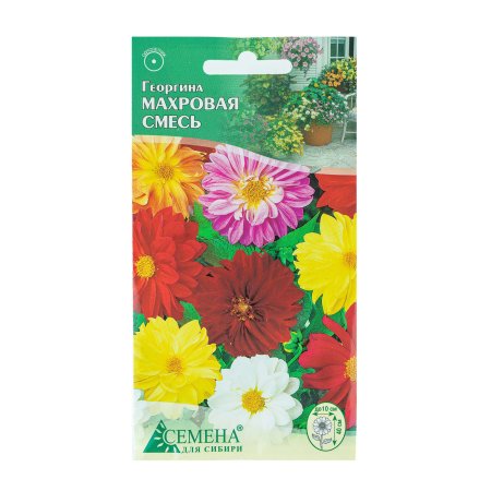 Семена георгина Махровая смесь окрасок Семена для Сибири