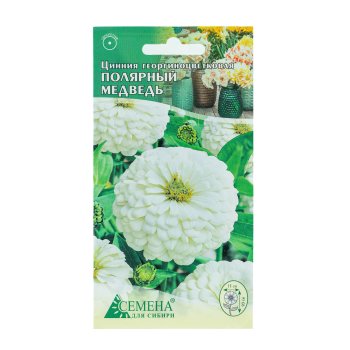 Семена циннии Полярный медведь Семена для Сибири