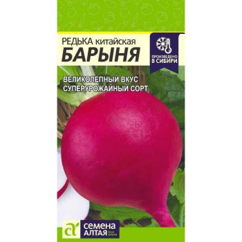 Семена редьки Барыня Зимняя Красная Алтай