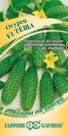 Семена огурца Тёща Гавриш