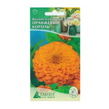Семена циннии Оранжевый Король Семена для Сибири
