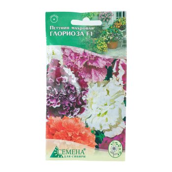 Семена петунии Глориоза Семена Семена для Сибири