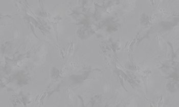 Обои флизелиновые Victoria Stenova  Isabel 287519