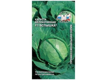 Семена капусты  Вспышка Седек