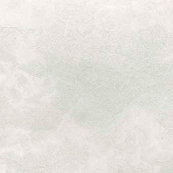 Обои флизелиновые Erismann Profi Deco Veter 60560-04