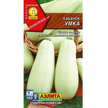 Семена кабачка  Умка Аэлита