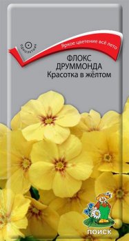 Семена флокса Красотка в Поиск