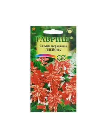Семена сальвии Плейона карликовая Гавриш