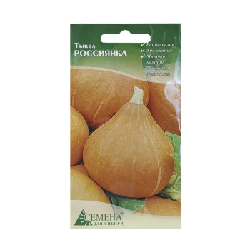 Семена тыквы Россиянка  Семена для Сибири