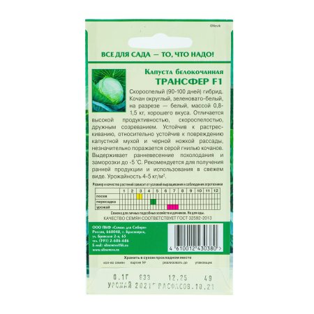Семена капусты  Трансфер  Семена для Сибири