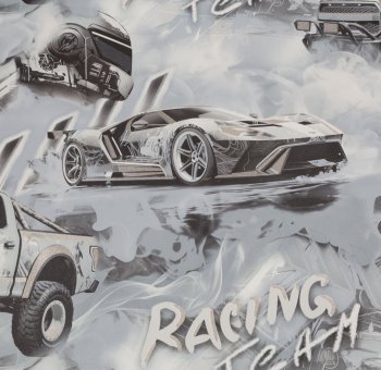Обои флизелиновые Палитра Racing Team HC72349-41