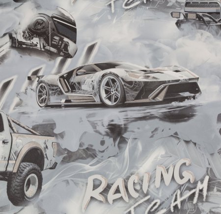 Обои флизелиновые Палитра Racing Team HC72349-41