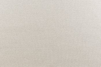 Обои флизелиновые Erismann Basic 60095-04