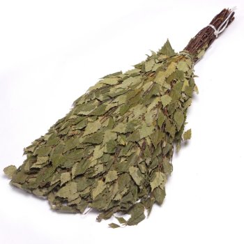 Веник банный березовый, Банная линия