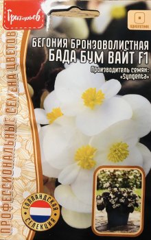Семена бегонии  Бада Бум Вайт F1 бронзоволистный НК