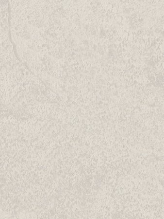 Обои флизелиновые Euro Decor Wall 5058-17