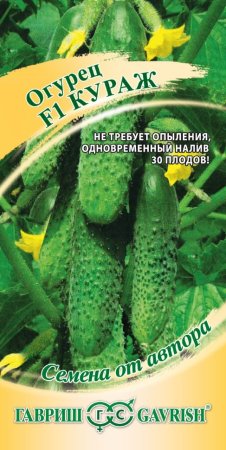 Семена огурца Кураж Гавриш